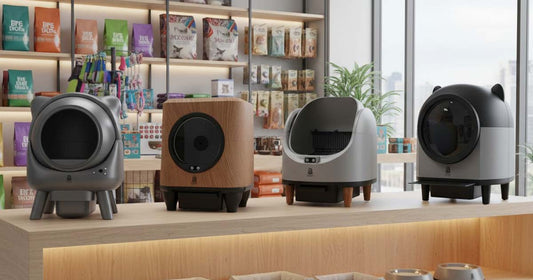 Combien coûte une litière automatique à La Réunion ? Prix 2025