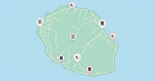 Où acheter une litière automatique à La Réunion (974) ? Magasins, livraison, SAV : le guide 2026